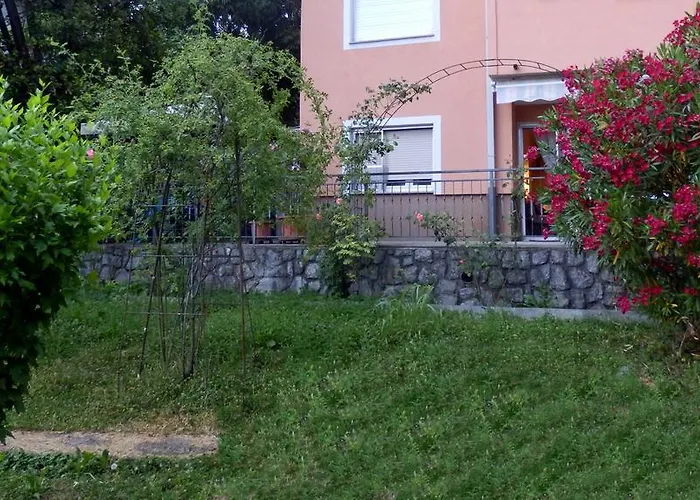 Garden *
